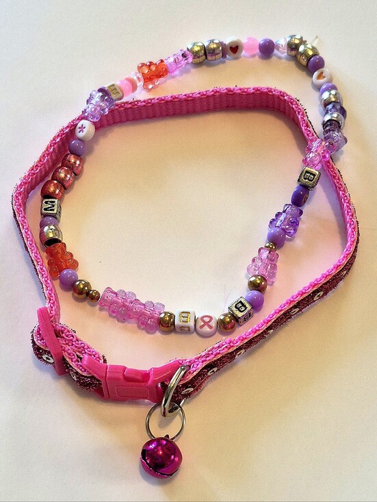 None Other - Beaded Glam Dog Collar SET (Customized)